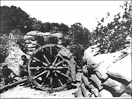 Australian 18lb gun of the 9th Brigade under
              camouflage at Gallipoli