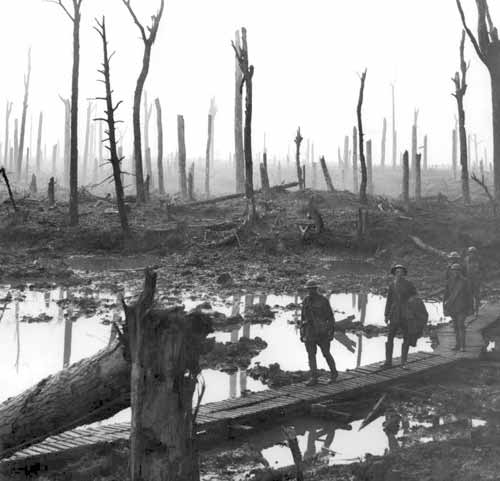 Passchendaele forest bomb craters covered with
              duckboards